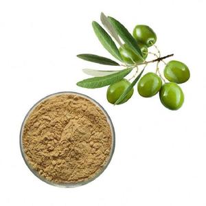 オリーブの葉エキス粉末フォームドラム包装<span class=keywords><strong>100%</strong></span> 天然高品質 - Product Image 4