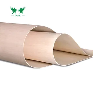 Flexible Bending plywood 2-25 mm wholesale LinYi Supply