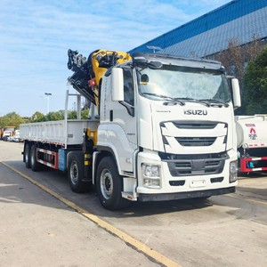 Grúa hidráulica articulada ISUZU GIGA de 25 toneladas 8x4 de fábrica china en venta - Product Image 2