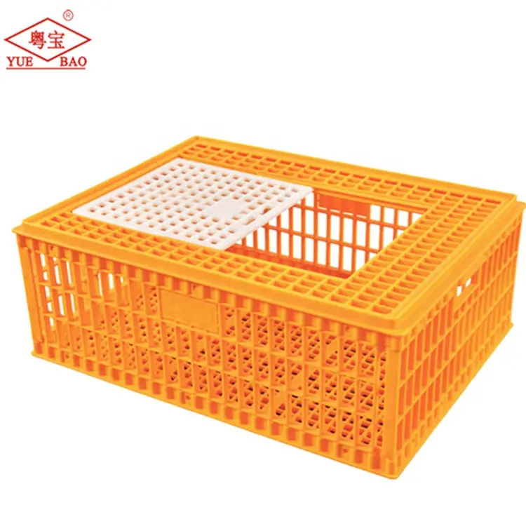 Caixa transporte galinha animal transporte pintinho avicultura equipamentos pecuária caixa transportadora galinha