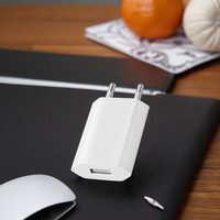 Adaptateur de chargeur USB universel 5V1A personnalisé en usine, charge rapide, matériau ignifuge, protection OLP pour les téléphones iPhone et Android