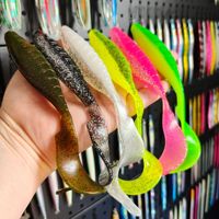 Leurre souple bicolore à grande queue de 16 cm/23 g, crankbait à coulée lente pour la pêche en mer et en bateau sans hameçons