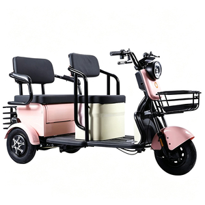 Tricycle électrique de transport pour adultes, tricycle à trois roues à carrosserie ouverte, tricycle électrique 600W avec panier - Product Image 1
