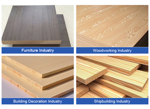 Gỗ MDF trượt bảng Bảng điều khiển máy cưa 45/90 độ CNC chế biến gỗ Acrylic PCV với nâng điện - Product Image 6