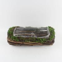 Mini plante succulente artificielle style moderne et créatif, en pot durable (mousse/rotin/corail) pour utilisation au sol, dans un jardin ou sur un bureau