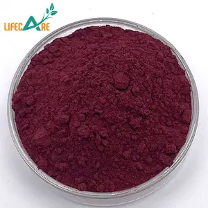 New Batch Black Elderberry Extract Powder Anthocyanin Powder 25%