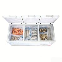 Congélateur coffre horizontal commercial à double porte, grande capacité, alimentation électrique pour usage domestique et hôtelier