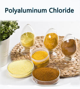 Produits chimiques purificateurs d'eau Coaglants et floculants Coagulant Pac Poly Aluminium Liquide Polyaluminium Chlorure Prix - Product Image 1