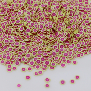 500G Mềm Polymer Đất Sét Trái Cây Lát 5Mm Đất Sét Chanh Kiwi Nho Dâu Tây Trái Cây Lát Rắc Cho Chất Nhờn Tự Làm Móng Tay Nguồn Cung Cấp - Product Image 4