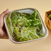 Emballage alimentaire jetable en pulpe de bagasse de canne à sucre, boîte à lunch, bol à salade en pulpe de bagasse de canne à sucre avec couvercle