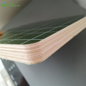 Plantilla Verde Moderna de PP, Anticorrosiva, Ecológica, Reutilizable hasta 30 Veces, para Uso en Construcción en Exteriores, Calidad de Primera Clase - Product Image 4