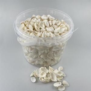 Cesto Ecologico di Conchiglie per Decorazioni Artigianali e Regali - Product Image 6
