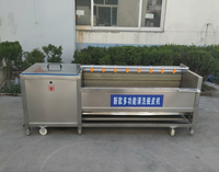 Rolbodemlengte 1000mm 500KG/H Cassaveverwerkingsmachines Fruitborstelwasmachine Borstelrol Aardappel schilmachine