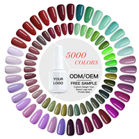 Fournitures pour ongles Kaga échantillon gratuit ensemble de vernis gel de base longue durée Uv Gel Soak Off 15ml60 pcs kit de vernis à ongles en gel de couleur