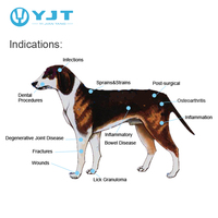 Dispositif pratique de thérapie au laser froid du fabricant YJT pour le soulagement de la douleur des animaux de compagnie pour le vétérinaire
