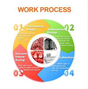 FDG-75 HUARAN 75m² Sécheur par congélation sous vide pour aliments, fruits et légumes, lait, café et bonbons – Équipement de lyophilisation - Product Image 2
