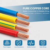 Câble en cuivre toronné multibrins 0,5-16 mm² avec isolation PVC 450V et conducteur flexible pour projets électriques