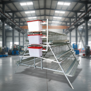 กรงไก่เหล็กชุบสังกะสีแบบ RTL 120 <span class=keywords><strong>ชั้น</strong></span> กรงไก่สำหรับไก่ไข่ โรงเรือนเลี้ยงไก่แบบเคลื่อนย้ายได้ พร้อมกล่องวางไข่ - Product Image 6