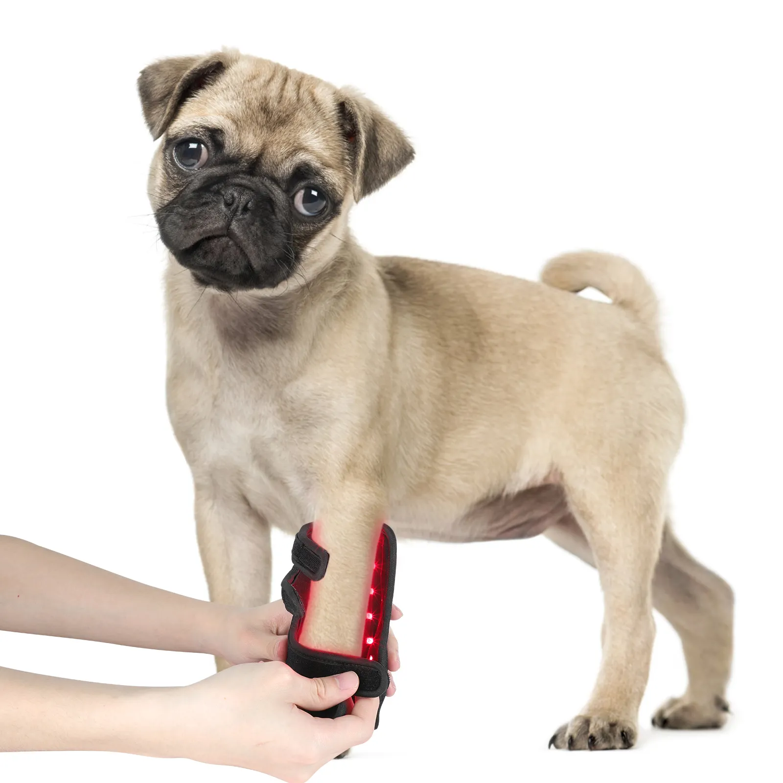 वीईटी देखभाल कम स्तरीय लेजर थेरेपी बेल्ट रैप चोटों का इलाज गठिया सूजन को कम करता है कुत्ते के लिए राहत दर्द