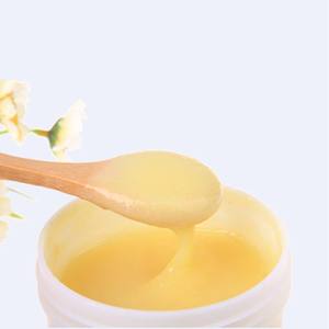 Rainwood Supply Royal Jelly Alami 100% Berkualitas Tinggi dengan HDA 1.4% 1.6% 1.8% 2.0% untuk Kesehatan yang Baik Harga Terbaik - Product Image 4