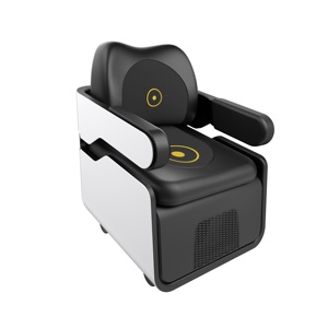 Silla Magnética Dual 2 en 1 para Reparación del Suelo Pélvico + Terapia Magnética Lumbar, Tratamiento No Invasivo para la Pérdida Urinaria Posparto - Product Image 2