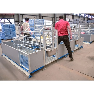 Jaula de Parto para Cerdas Nueva a Precio de Fábrica, Acero Galvanizado en Caliente Anticorrosión, Vida Útil de 15-25 Años, Sistema de Alimentación Totalmente Automático - Product Image 5