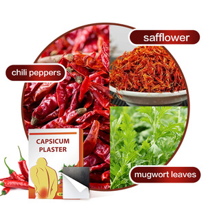 ハーブ温熱鎮痛パッチ＆プラスター 10×13cm 10枚入り/箱 CE認証 2年保存可能 - Product Image 4