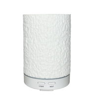 Diffuseur d'arôme à Double brumisateur humide, huile essentielle, humidificateur d'air de voiture, Mini ultrasons 100ml, lumière LED Usb OEM