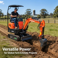 Mini-excavatrice de 0,8 tonne pour usage agricole, vente directe d'usine, excavatrice compacte, meilleur prix