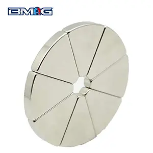 High quality magnetic NdFeB arc Brushless DC motor rotor magnets Segment Engineering magnets