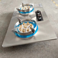 Table de cuisson à gaz 2 brûleurs encastrable en acier inoxydable pour la cuisine domestique