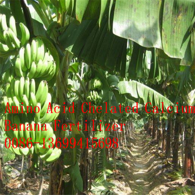 Receita de pulverização do adubo de Foiar da árvore de banana para a venda