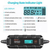 Chargeur de batterie intelligent 6A personnalisable en gros pour usine, charge en 8 étapes 12V pour batteries lithium-ion/plomb-acide, entretien de véhicules