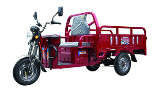 Triciclo Elettrico da Carico ad Alta Potenza, Veicolo Elettrico <span class=keywords><strong>a</strong></span> <span class=keywords><strong>Tre</strong></span> Ruote per Adulti con Lunga Autonomia - Product Image 3