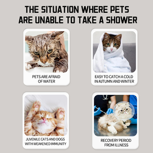 Pet <b>Deodorizing</b> Spray 500ml <b>Antibacterial</b> Fresh Scent For Cats And Dogs - Product Image 6