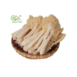 Wholesale Loss High Quality Wholesale Dried Dictyophora Wild Dried Bamboo Fungus Dictyophora