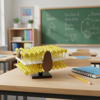 Modèle de structure de membrane cellulaire - Kit de modélisation de mosaïque fluide pour l'enseignement de la biologie et la démonstration scientifique