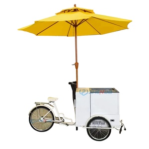 Popular Hand-<b>pushed</b> Canopy Bicycle Ice Cream Truck Custom-made Unpowered Pedal Bicycle Dining <b>Car</b> Mobile Dining <b>Car</b> - Product Image 1