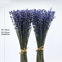 SZ04321 Bunga Lavender Laut Kering Berkualitas Tinggi dan Tahan Lama, Rangkaian Bunga Lavender Alami yang Diawetkan untuk Dekorasi