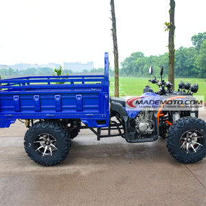 4輪駆動ItpタイヤビッグトーカーユースサイドUtv - Product Image 2