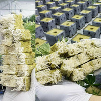 Livraison rapide taille commune stock en vrac cubes de laine de roche agriculture laine de roche pour la plantation