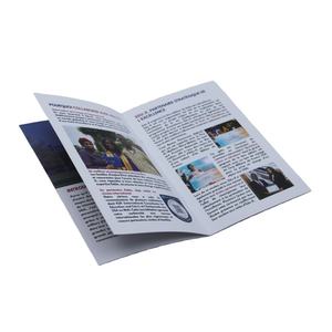 Brochure publicitaire créative et amusante de 285x220 mm pour mariages, promotions d'entreprise, réductions, baby showers, anniversaires, chiens - Product Image 3