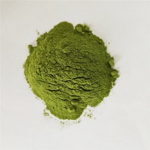 High Quality Nature Moringa Extract Powder Organic Moringa Powder Whosale Herbal Supplement - Product Image 2