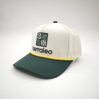 Gorra de Béisbol Deportiva Ajustable e Impermeable, Bordado 3D, Bordado a Mano, Diseño Dobby, Argyle, Puntos, Leopardo, Cierre a Presión, Personalizable