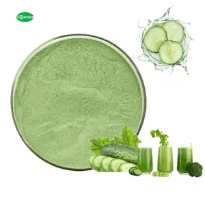 ISO Certificate concentrate cucumber juice powder dried cucumber powder