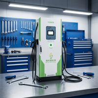 Nouvelle station de recharge rapide pour véhicules électriques Ganzhong GZ-DC-160L-2 DC, interface combinée CCS2 7kW-240kW, IP55, extérieur, entrée 380V, OCPP1.6, CE, TUV