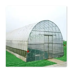Simple Structure Single Span Greenhouse Agricultural Greenhouse For Easy To Build And Use