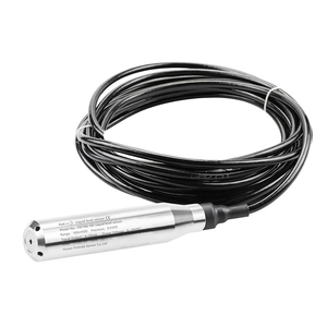 FST700-101 เครื่องมือวัดระดับน้ำแบบไฮโดรสแตติกพร้อมสวิตช์ระดับแบบอินพุต - Product Image 3