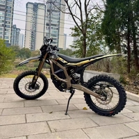 Motor Listrik HP 2025 Laris Manis, Motor Tengah, Baterai Lithium, Torsi Tinggi, E-Bike Off-road untuk Klub Balap