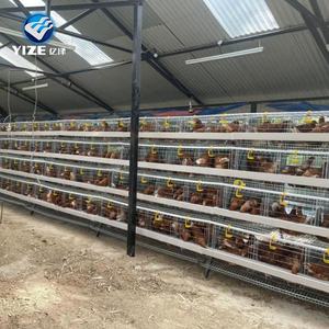 Suibian — <span class=keywords><strong>cage</strong></span> de poulet, fabriqué en chine, supports de bains - Product Image 3